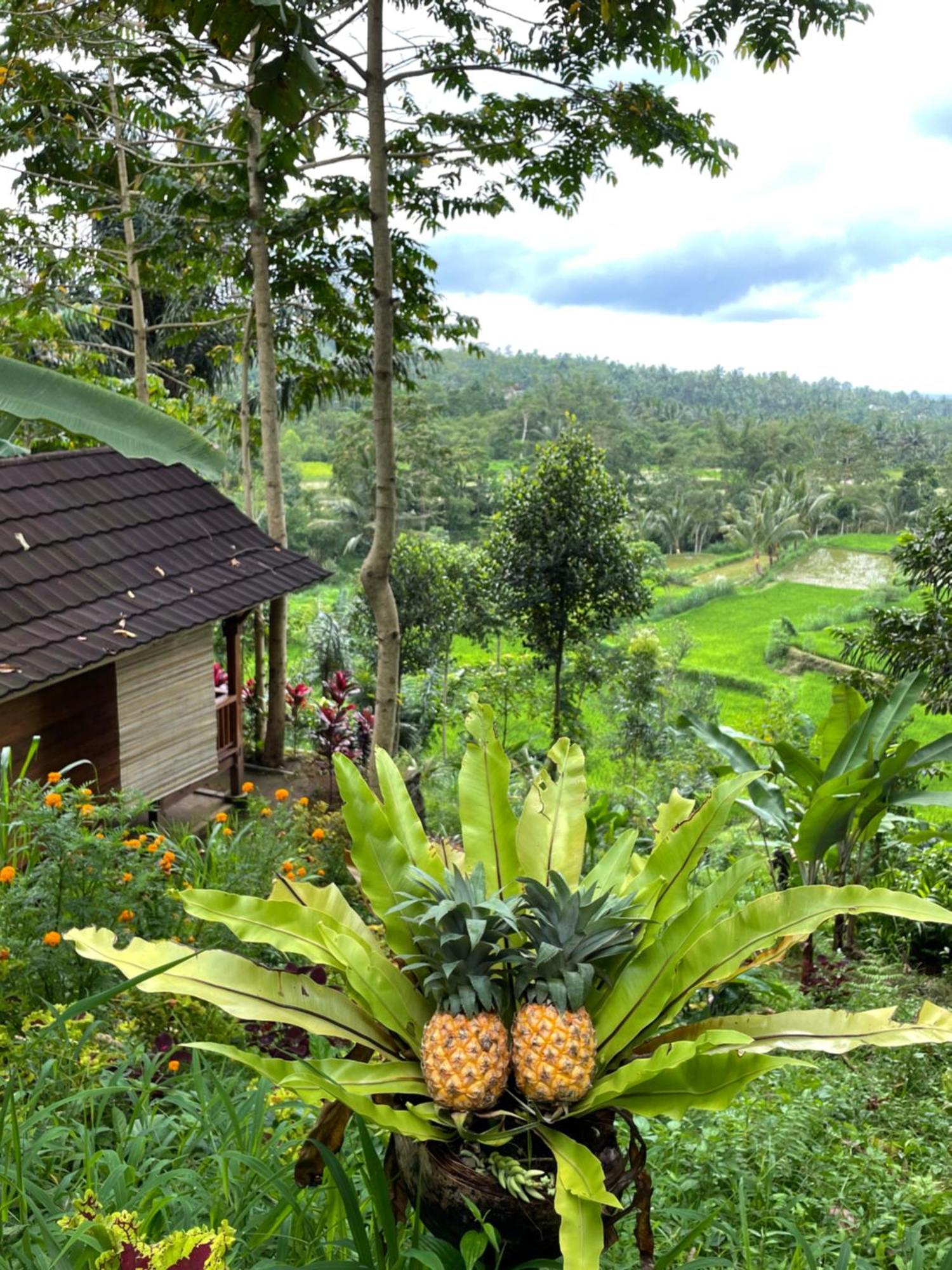 Serenity Lodge Tetebatu Lombok Exterior foto